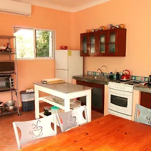 Casa Gatos Apartment Akumal